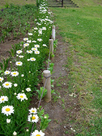 Copyright(c)2000$B!A(B Candybox All Rights Reserved